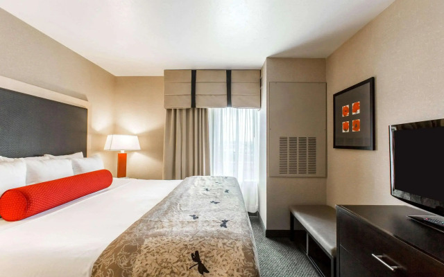 Cambria Hotel Rapid City near Mount Rushmore