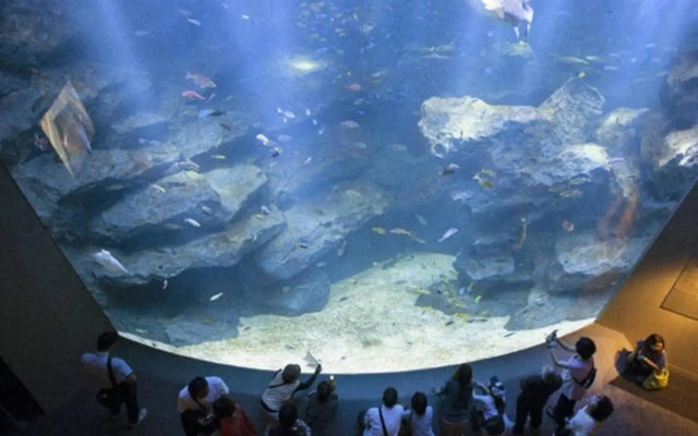 エバーグリーン新宿 リュクス 2m14