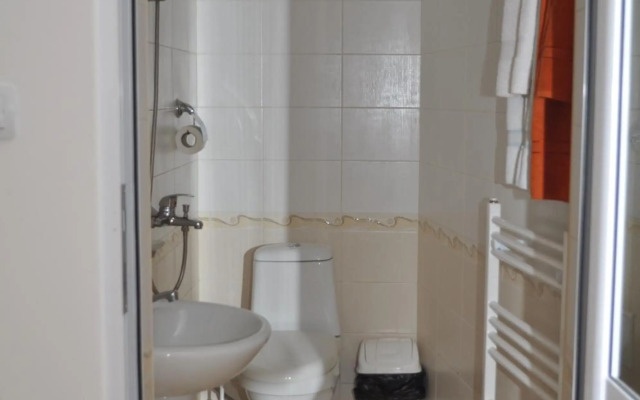 Hotel Alpin - 91 Bansko