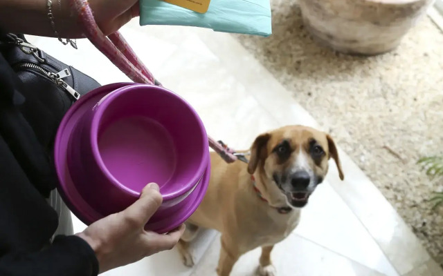 Vitória Hotel Convention Paulínia