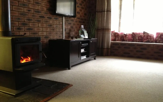 Shady Trees Barrington