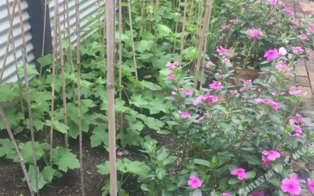 Happytourcairns Sharehouse