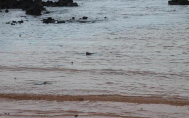 pousada mar de corais
