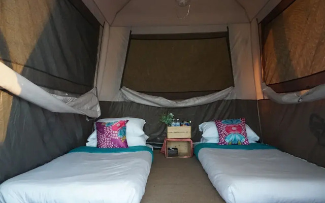 Singha Park Chiang Rai Camping