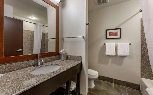 Comfort Suites Perrysburg - Toledo South