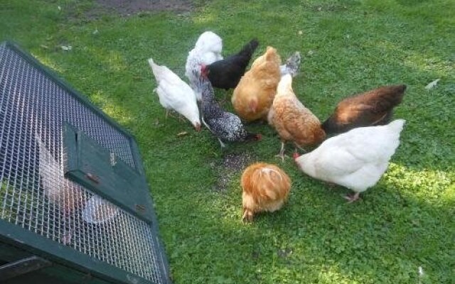 Theetuin Gebroeders van Lint