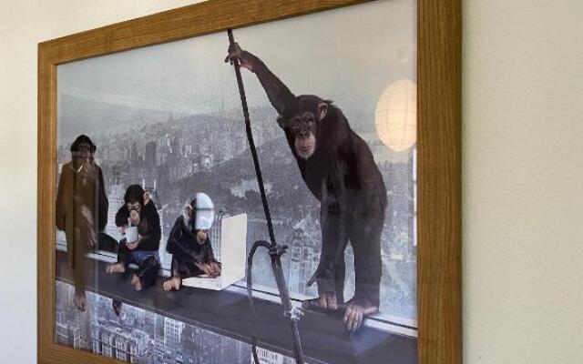 Ferienwohnung „Monkeybox“