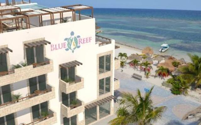 Hotel Blue reef con alberca & frente al mar