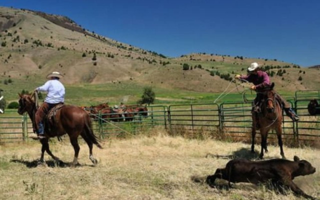 Wilson Ranches Retreat