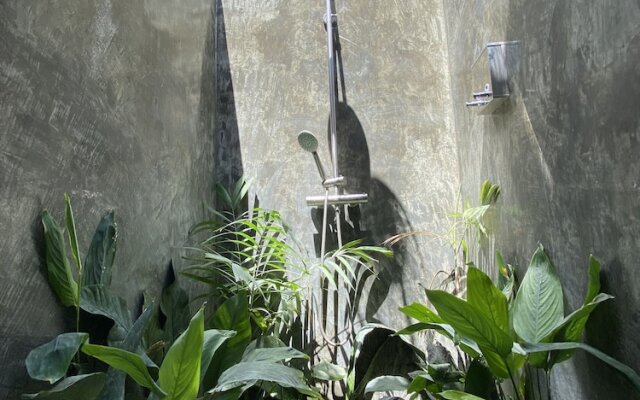Wild Monkeys Hostel