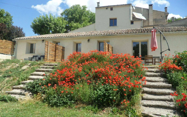Les Ânes de Forcalquier