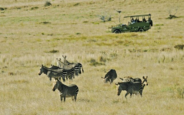 Mount Camdeboo Private Game Reserve by NEWMARK