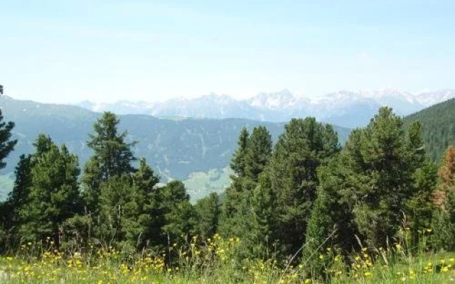 Ferienwohnungen Schöpf