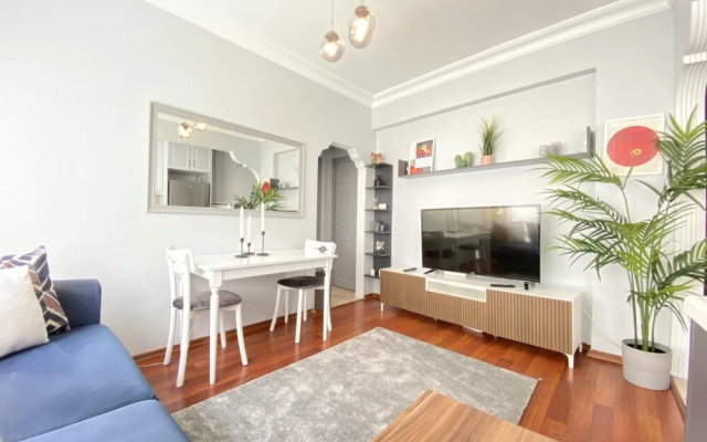 Modern and Stylish Flat Near Taksim Square