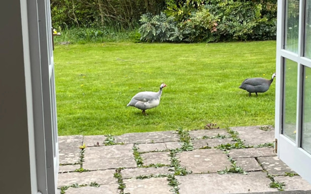 The Billiard Room - Luxury Retreat