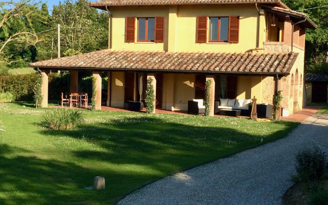 The Grapevine by MANVI