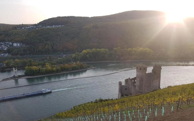 Rheingau und Weltkulturerbe Mittelrheintal erleben - Ferienappartement in Winkel