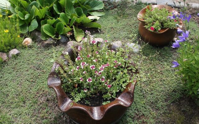 Wohnung mit Eigener Terrasse in Wismar