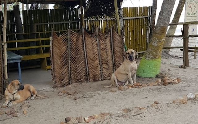 African Vibrations Beach Resort