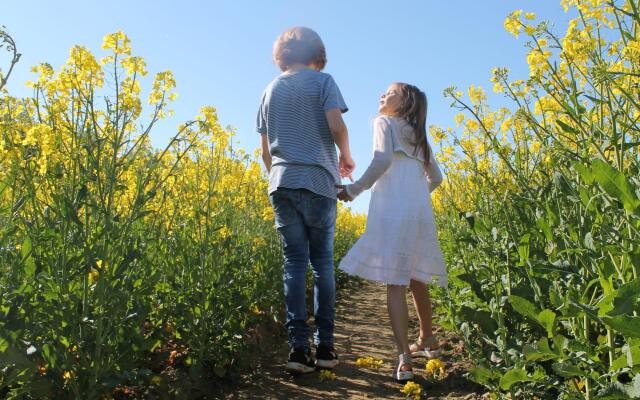 Apartment Near the Beach With Terrace