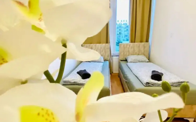 Rooms in Cozy 4BR Shared Apt Central