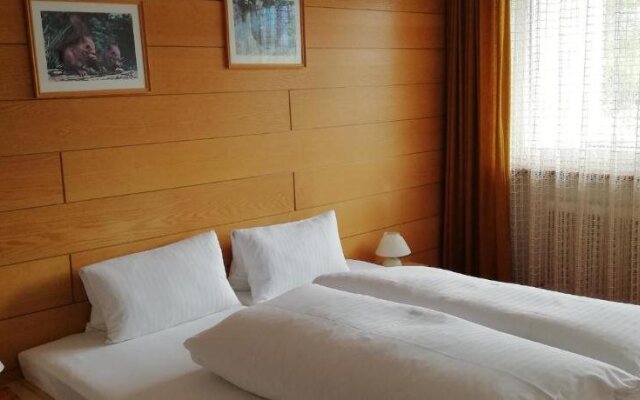 Hotel Appartement Winkler