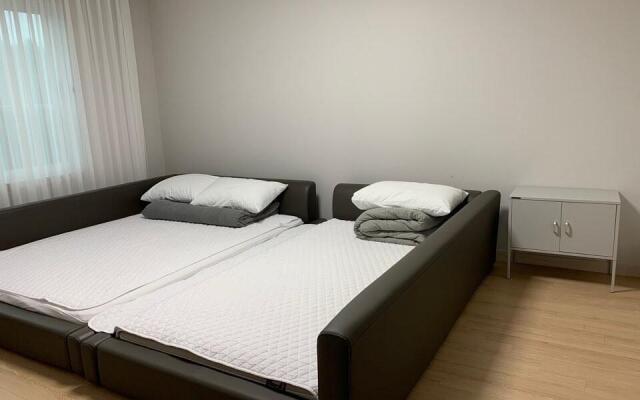 Jeju daehliae pension