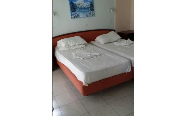 Hotel Alkmini