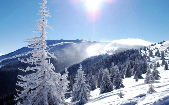 Apartmani Čardaci Kopaonik
