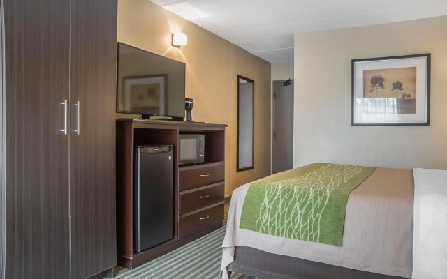 Comfort Inn Chatham