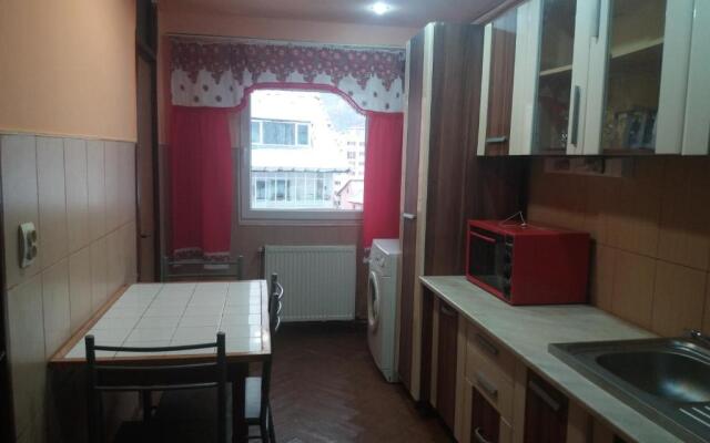 Apartament Viorea