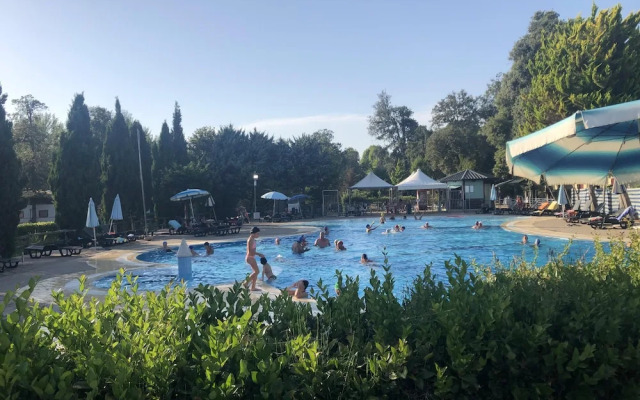 Campsite Chalet Zr28 Tuscany Near sea Viareggio