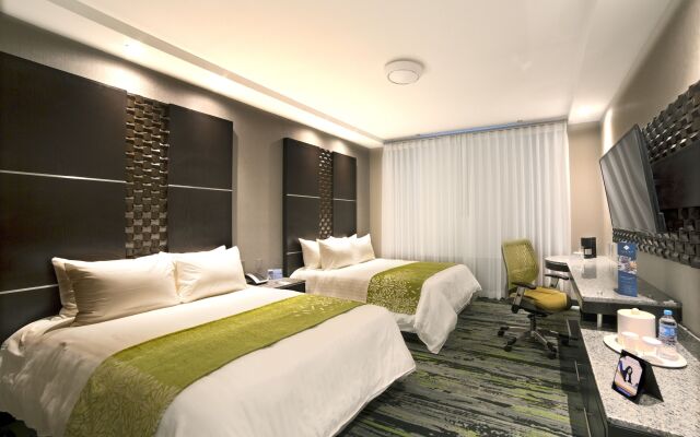 Hotel Araiza San Luis