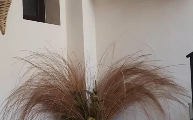 B&B La Cornucopia
