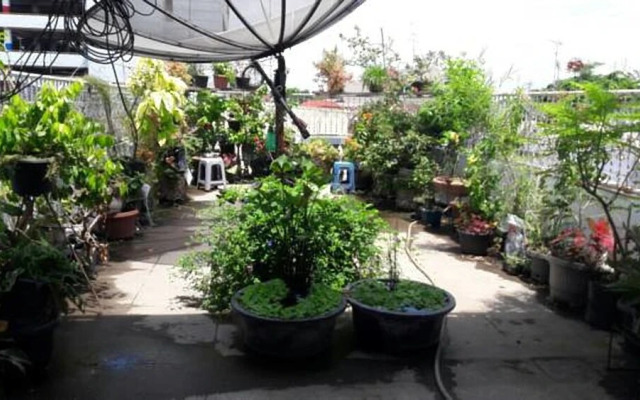 Dazhong Backpackers Hostel