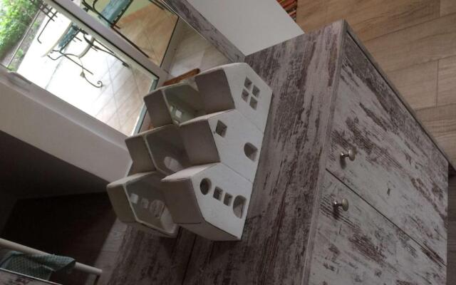 Vitis Vinifera Tranditional Studio Apartment
