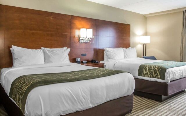 Comfort Inn- Hammond