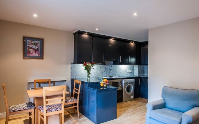 1Br Suite Apt In The Heart Of Dublin-2