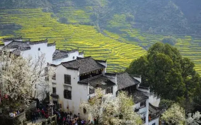 Qingyuanresident