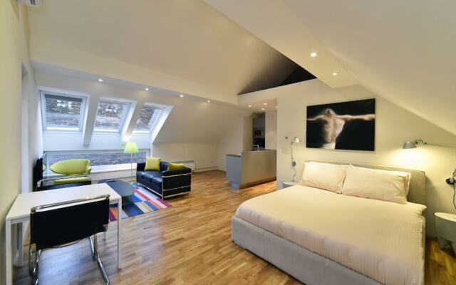 Apartment Skylight