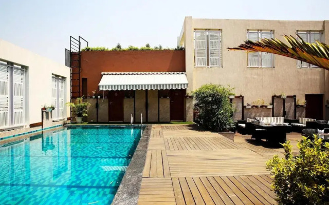 Golden Tulip