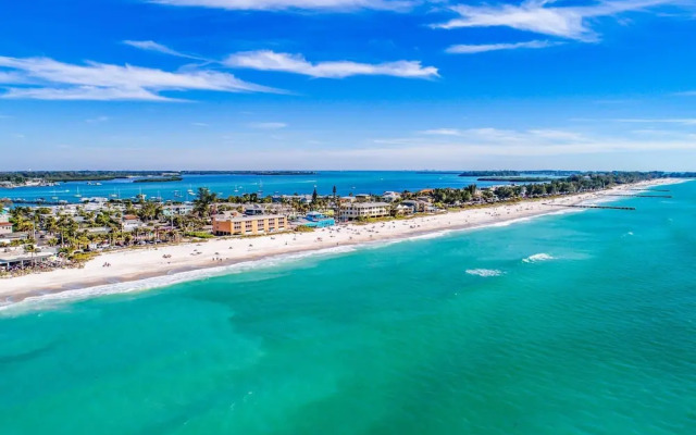 Anna Maria Island Beach Palms 2A