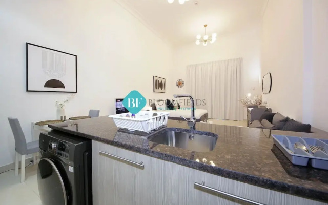 Spacious Studio Apartment