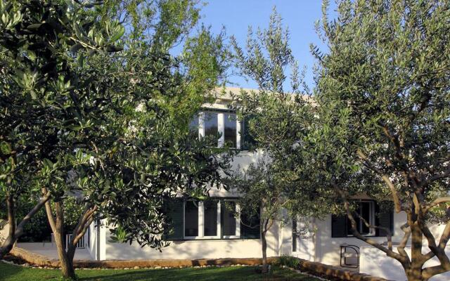 Modern Apartment in Mocici With Terrace