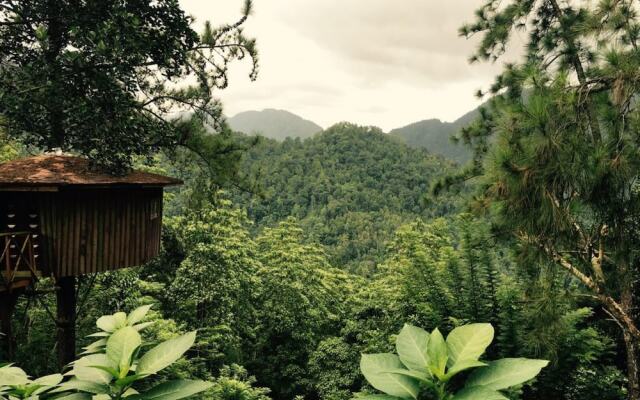 The Tree House