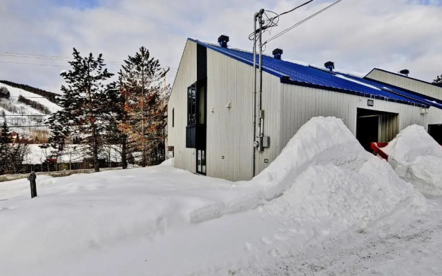 Condo 517 Chemin du Hibou by Les Chalets Alpins