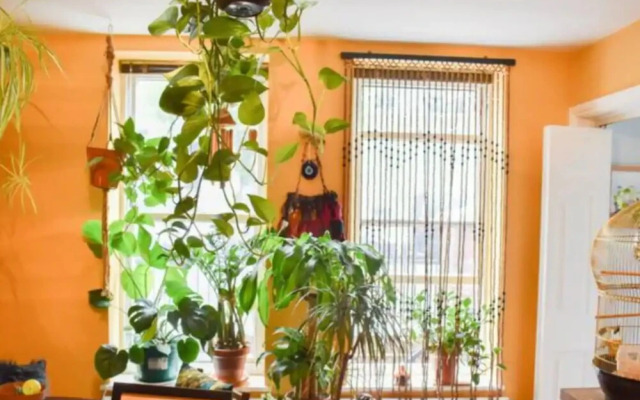 Peaceful 2 Bedroom Hideaway in the Heart of Brighton