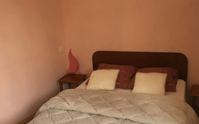 Le Palmyre Soleil de l'Amazonie