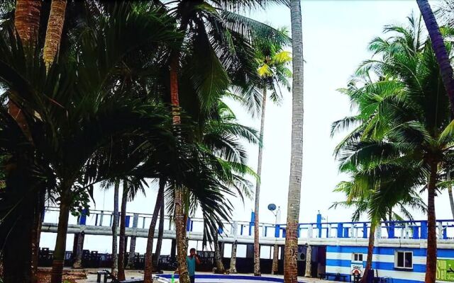 The Pelicans Castaway