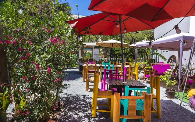 Bananas Adventure Hostel